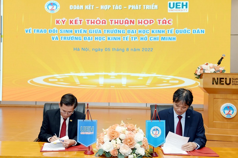 cá cược thể thao hul city